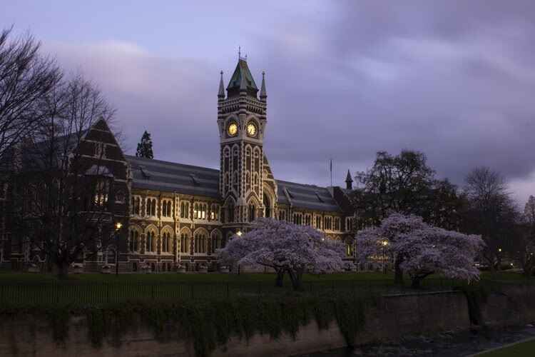 3 Reasons Why New Zealand Might Be the Best Study Destination 1