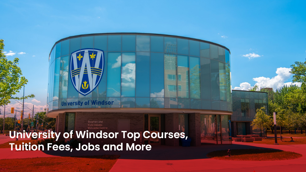 03 Blog University of Windsor Top Courses, Tuition Fees, Jobs and More